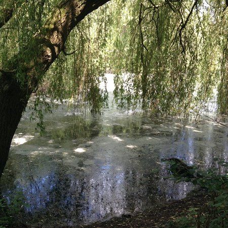 Loddon Nature Reserve